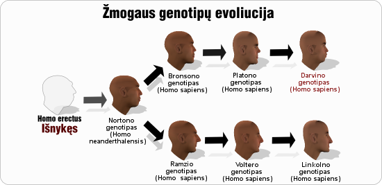 darvinas darvino genotipu evoliucija